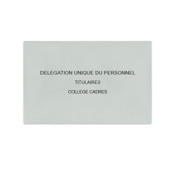 Délégation Unique du Personnel Gris