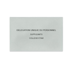 Délégation Unique du Personnel Gris
