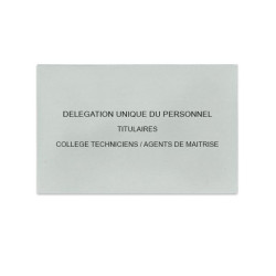 Délégation Unique du Personnel Gris