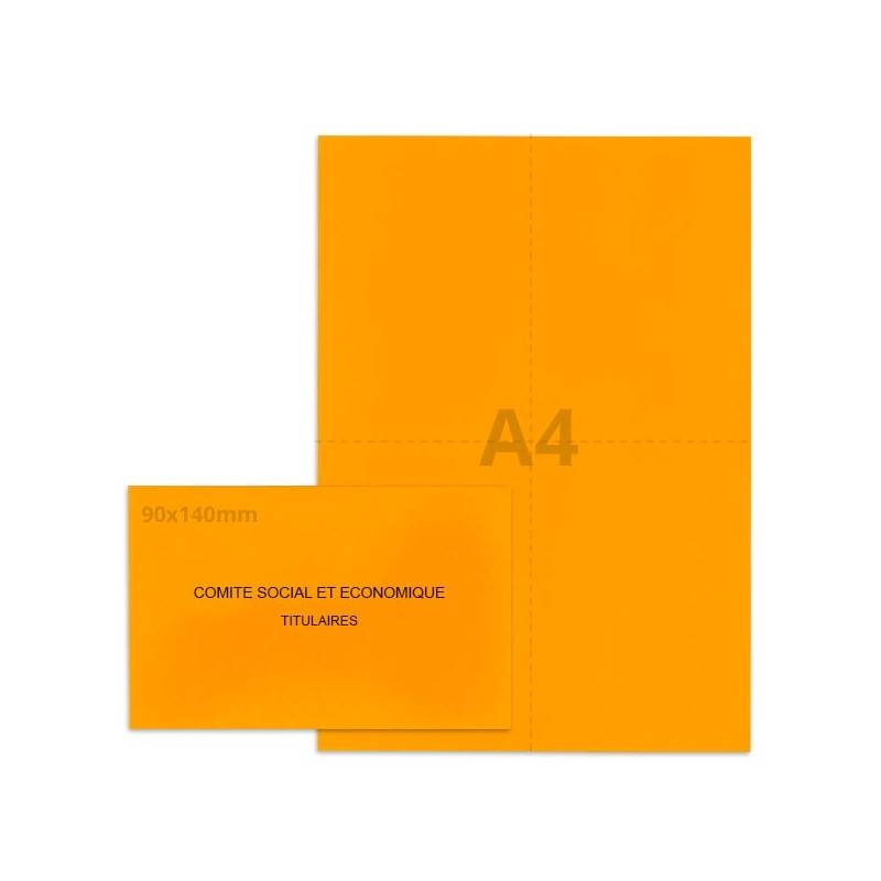 Kit élection Comité Social et Economique orange Kit élection Comité Social et Economique orange