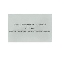 Délégation Unique du Personnel Gris