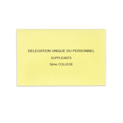 Délégation Unique du Personnel Jaune Clair