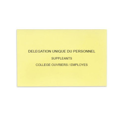 Délégation Unique du Personnel Jaune Clair