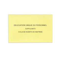 Délégation Unique du Personnel Jaune Clair