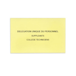 Délégation Unique du Personnel Jaune Clair