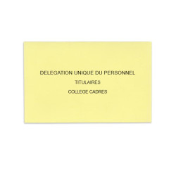 Délégation Unique du Personnel Jaune Clair