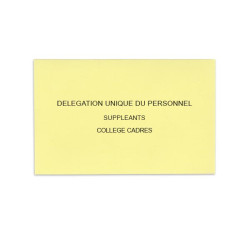 Délégation Unique du Personnel Jaune Clair