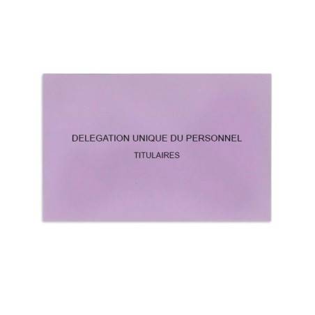 Délégation Unique du Personnel Lilas