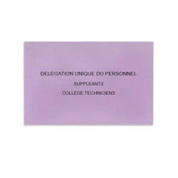 Délégation Unique du Personnel Lilas