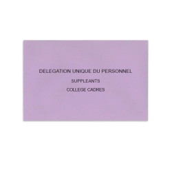 Délégation Unique du Personnel Lilas