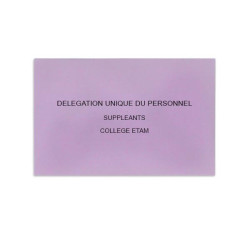 Délégation Unique du Personnel Lilas