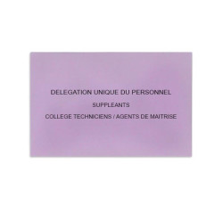 Délégation Unique du Personnel Lilas