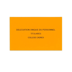 Délégation Unique du Personnel Orange