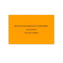 Délégation Unique du Personnel Orange
