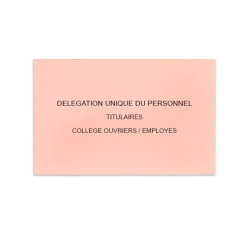 Délégation Unique du Personnel Rose Clair