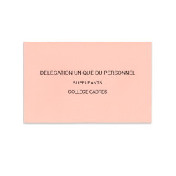 Délégation Unique du Personnel Rose Clair