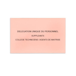 Délégation Unique du Personnel Rose Clair