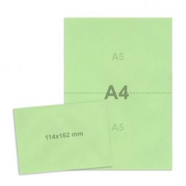 Kit électoral Vert Clair (50 env + 50 feuilles A4)