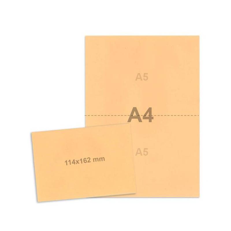 Kit électorales Saumon