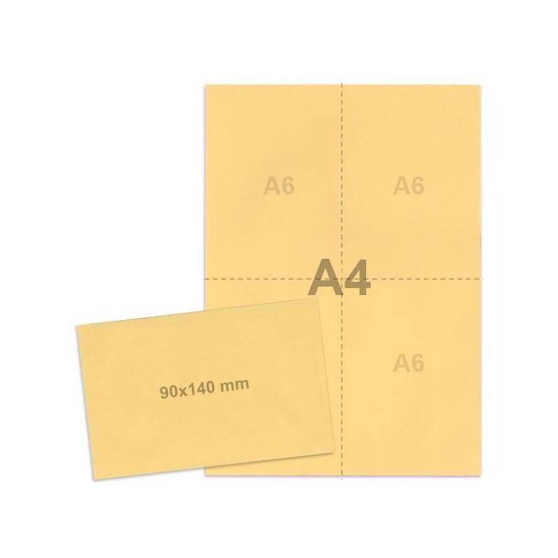 Kit élections Beige Kit élections Beige