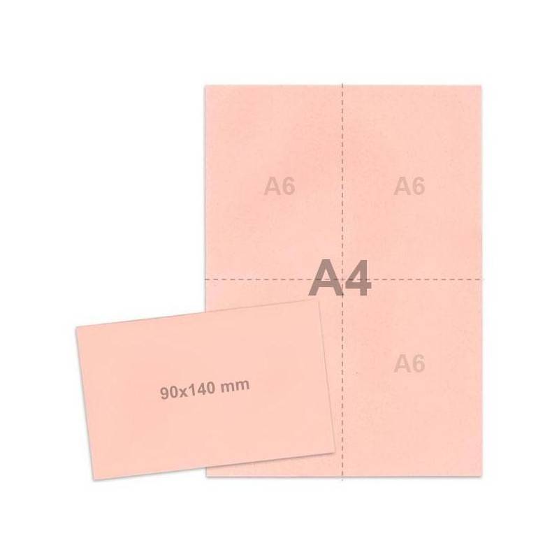 Kit élections Rose Clair