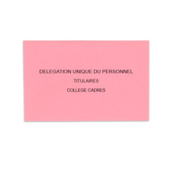 Délégation Unique du Personnel Rose Vif