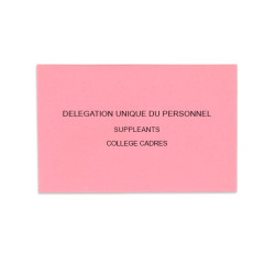 Délégation Unique du Personnel Rose Vif